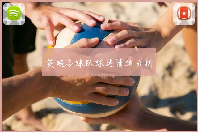 英超各球队球迷情绪分析