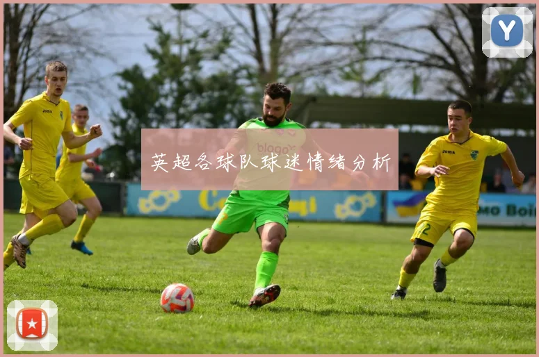 英超各球队球迷情绪分析