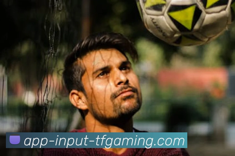 雷火电竞APP服务体系